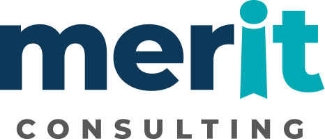 Merit IT Navy Logo